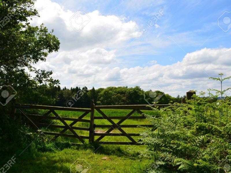 A New Year’s&nbsp;Choice